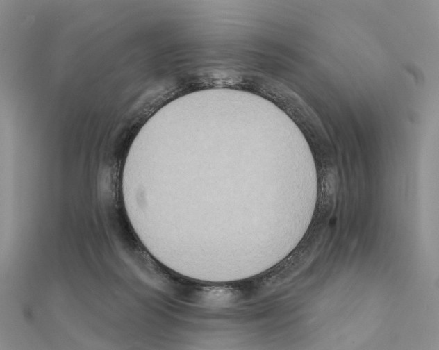 X0000111240218200908131152