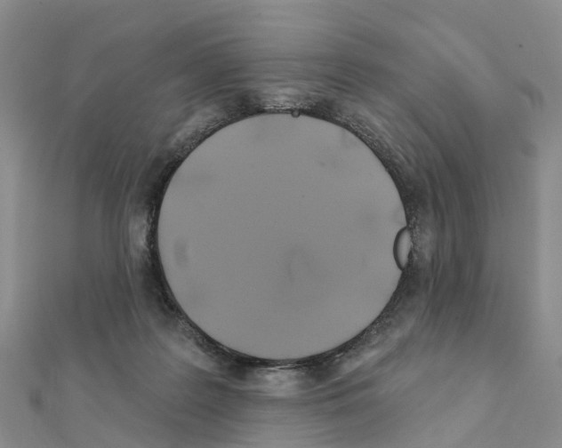 X0000111240219200908131152