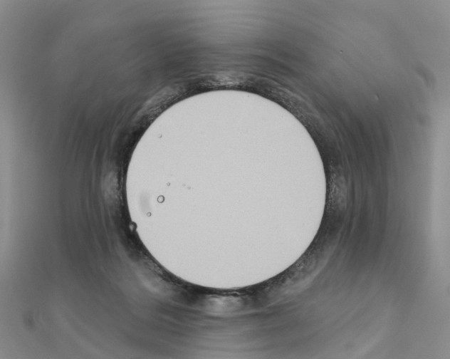 X0000111240220200908131152