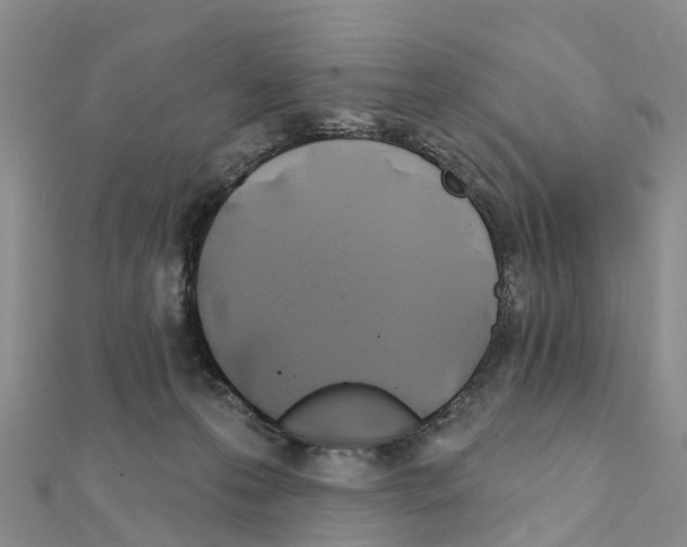 X0000111240223200908131152
