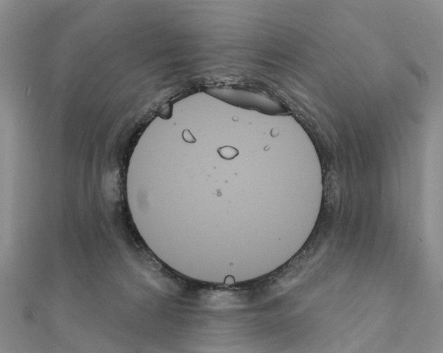 X0000111240224200908131152