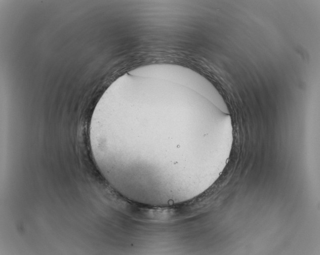 X0000111240225200908131152