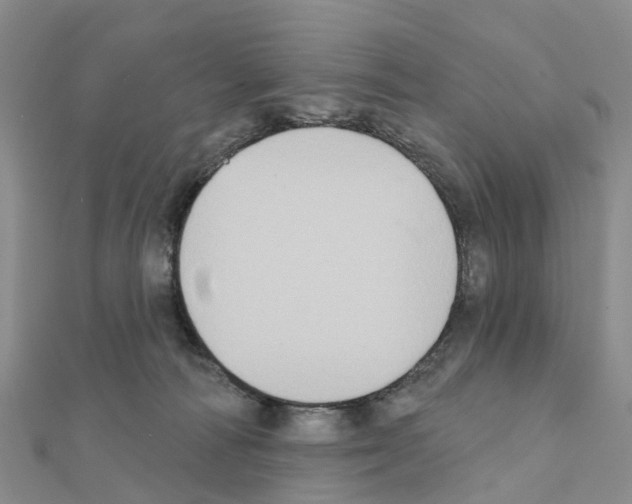 X0000111240226200908131152