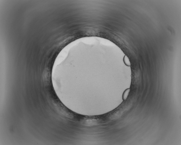 X0000111240228200908131152