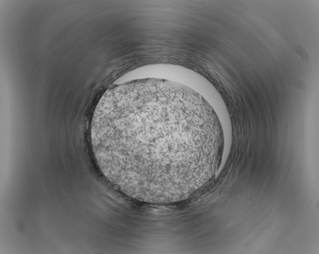 X0000111240229200908131152