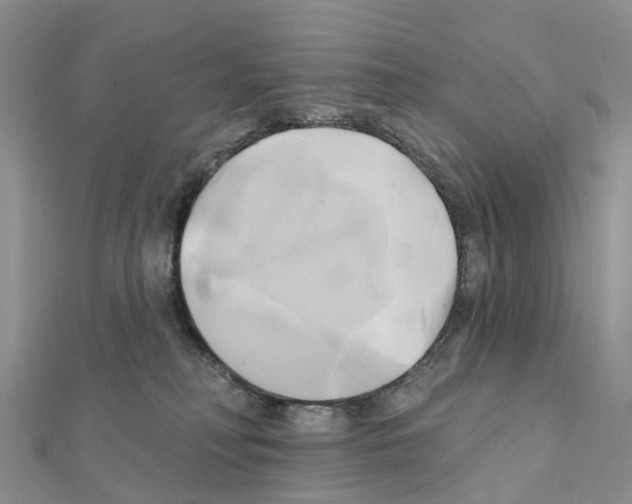 X0000111240230200908131152
