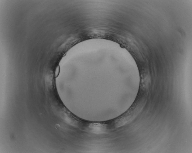 X0000111240231200908131152