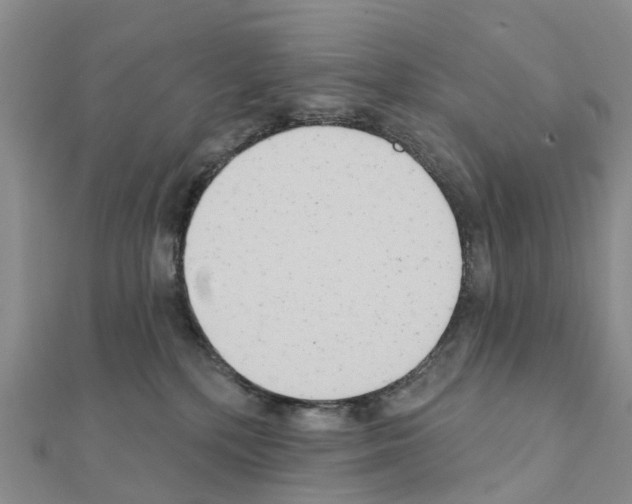 X0000111240232200908131152