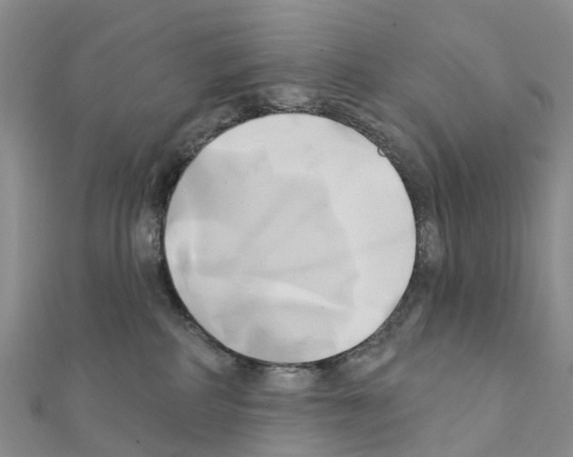X0000111240234200908131152