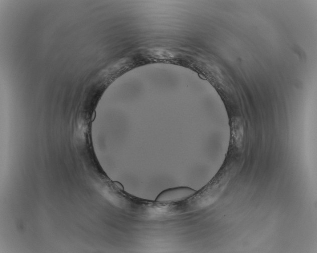 X0000111240235200908131152