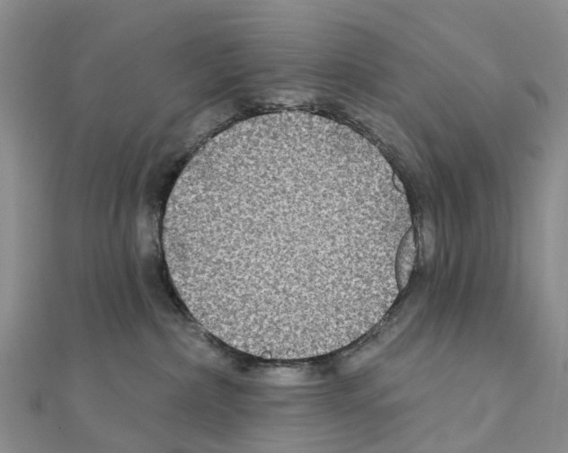 X0000111240236200908131152
