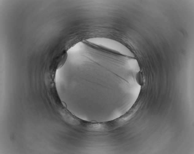X0000111240237200908131152