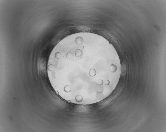 X0000111240238200908131152