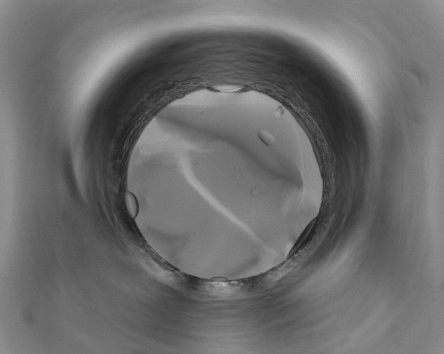 X0000111240239200908131152