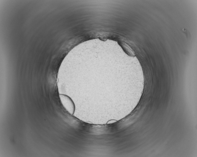 X0000111240240200908131152