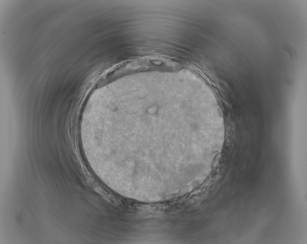X0000111240241200908131151