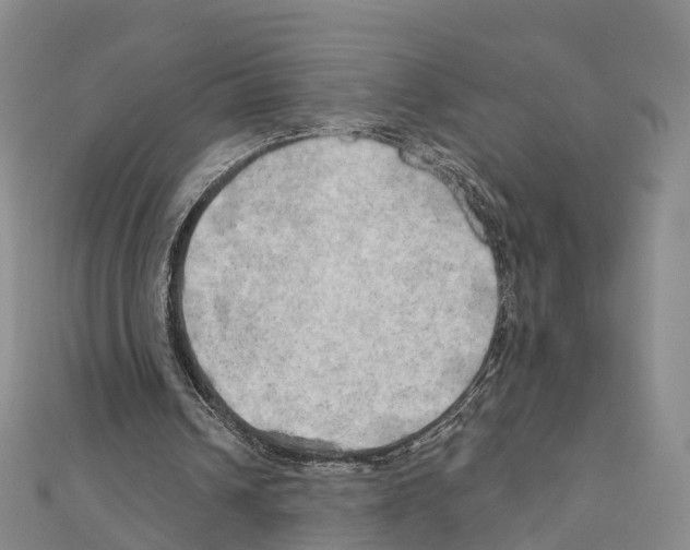 X0000111240242200908131151