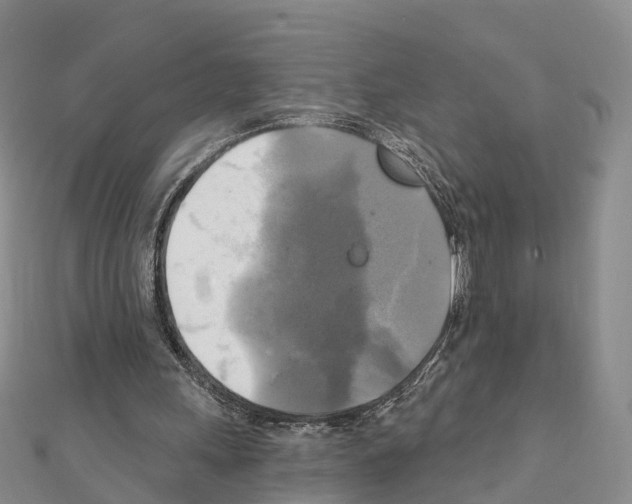 X0000111240243200908131151