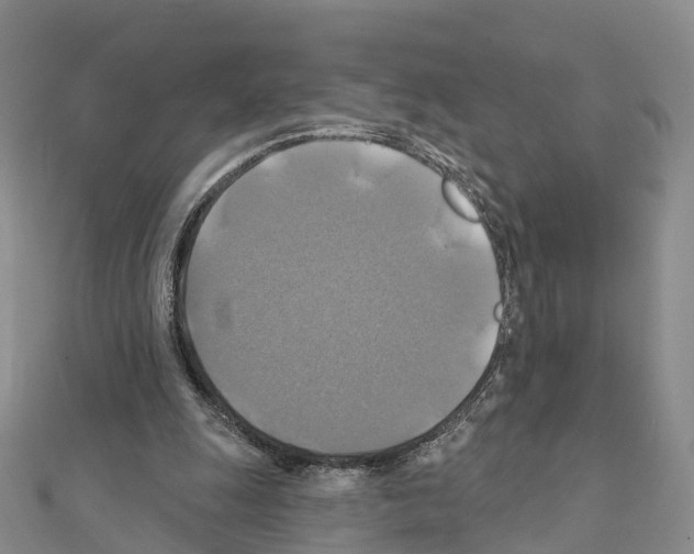 X0000111240247200908131151