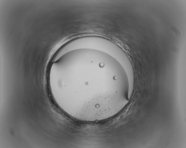 X0000111240248200908131151