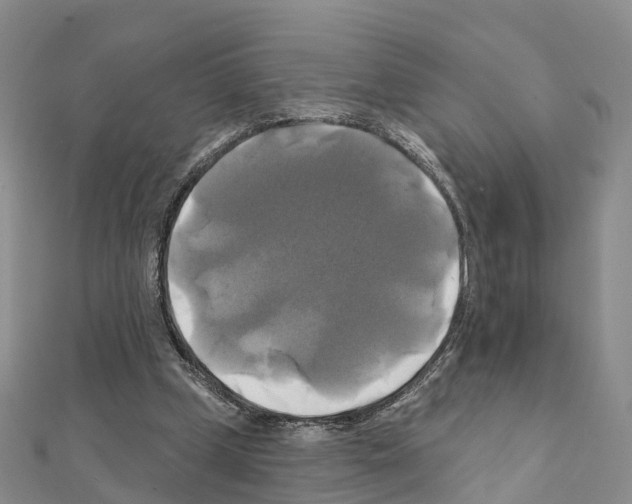 X0000111240249200908131151