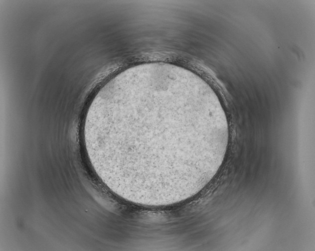 X0000111240250200908131151