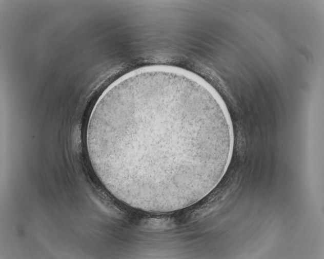 X0000111240251200908131152