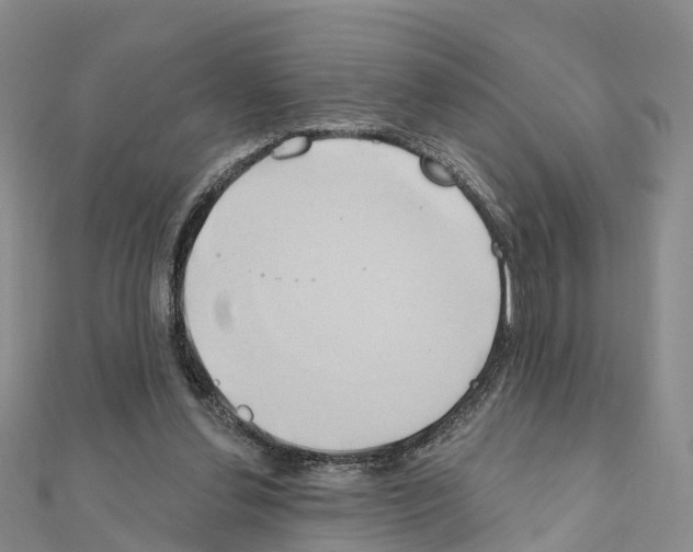 X0000111240252200908131152