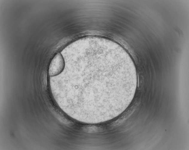X0000111240253200908131152