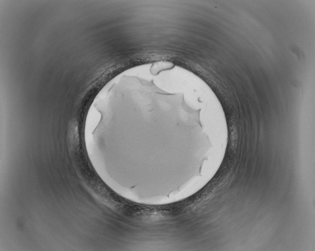 X0000111240254200908131152