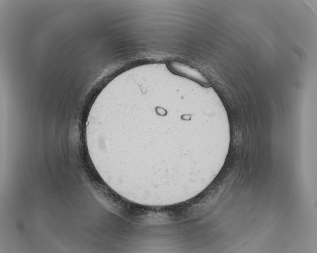 X0000111240256200908131152