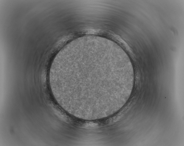 X0000111240257200908131152