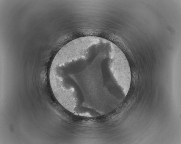 X0000111240259200908131152