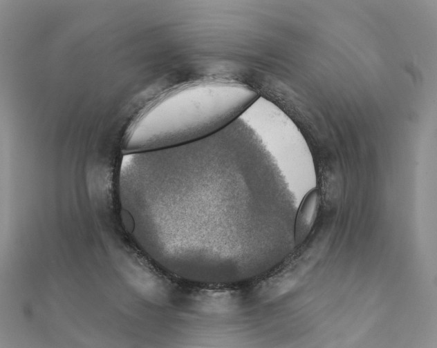X0000111240260200908131152