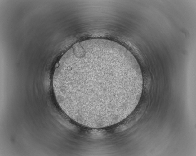 X0000111240261200908131152