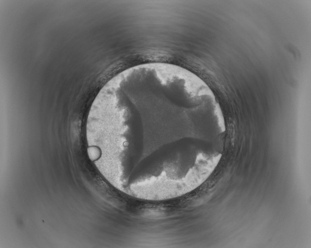 X0000111240263200908131152