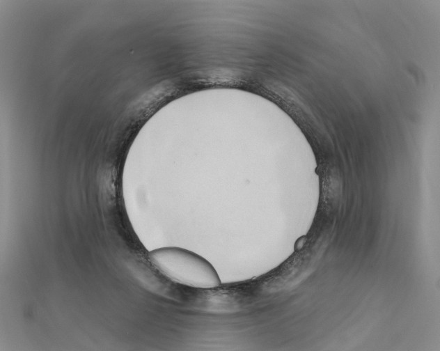X0000111240264200908131152