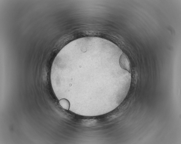 X0000111240266200908131152