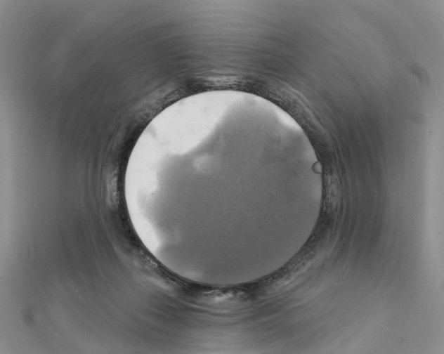 X0000111240267200908131152