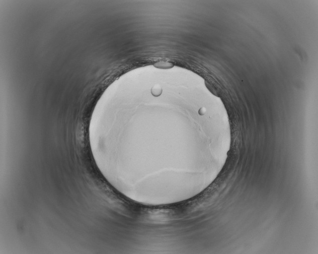 X0000111240268200908131152