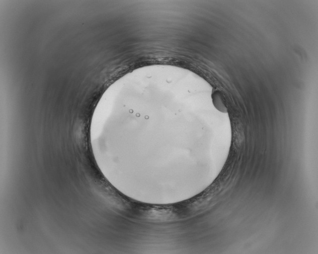 X0000111240270200908131152