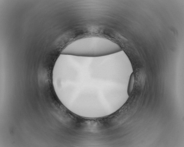 X0000111240272200908131152