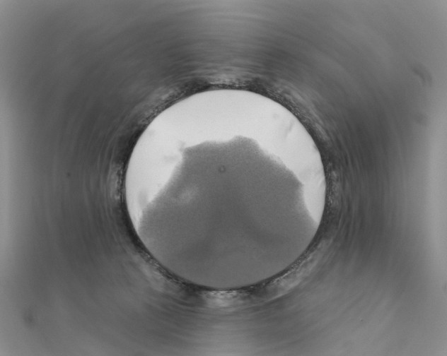 X0000111240273200908131152