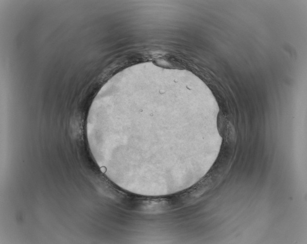 X0000111240274200908131152