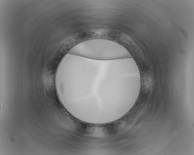 X0000111240276200908131152