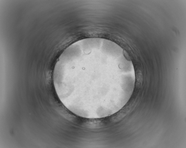 X0000111240278200908131152