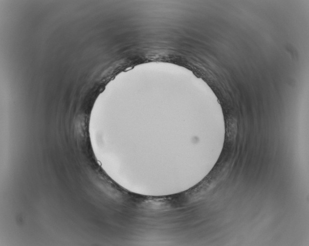 X0000111240280200908131152
