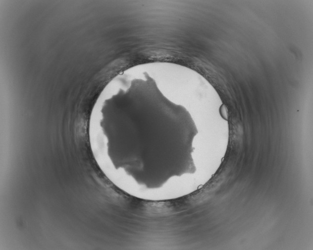 X0000111240281200908131152