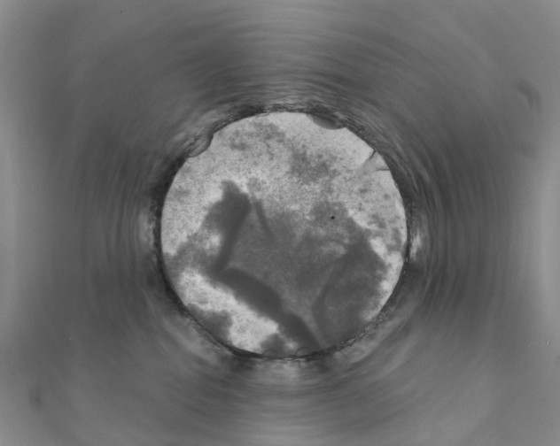 X0000111240282200908131152