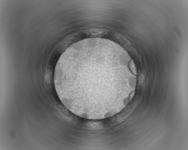 X0000111240283200908131152